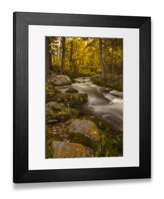Framed Print : USA, Colorado. Autumn colors on Crestone Creek