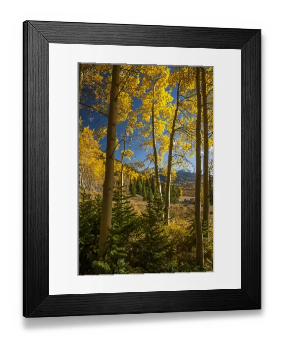 Framed Print : USA, Colorado. Landscape in San Juan Mountains Framed Print : USA, Colorado. Landscape in San Juan Mountains