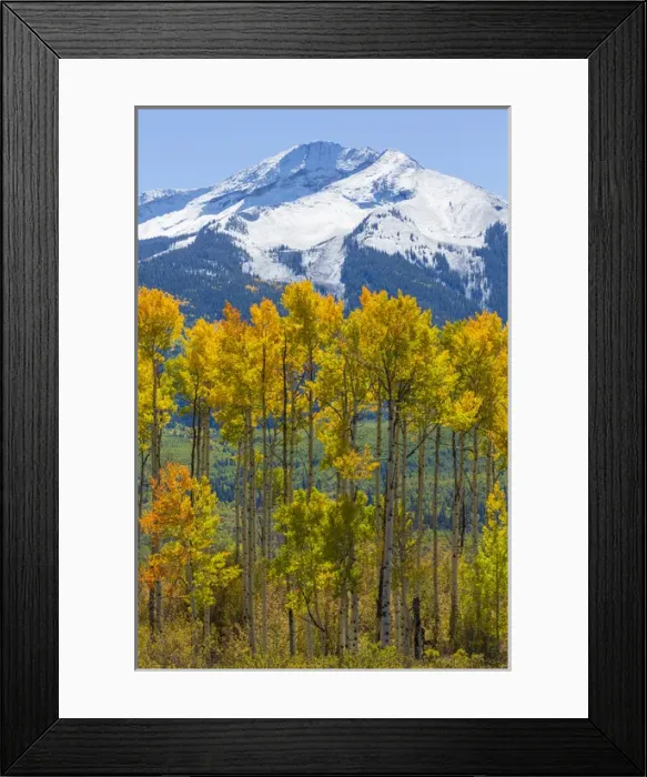 Framed Print : USA, Colorado. Fall aspens and mountain. Credit as: Don Paulson / Jaynes Gallery / DanitaDelimont Framed Print : USA, Colorado. Fall aspens and mountain. Credit as: Don Paulson / Jaynes Gallery / DanitaDelimont