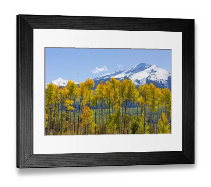Framed Print : USA, Colorado. Fall aspens and mountain. Credit as: Don Paulson / Jaynes Gallery / DanitaDelimont Framed Print : USA, Colorado. Fall aspens and mountain. Credit as: Don Paulson / Jaynes Gallery / DanitaDelimont