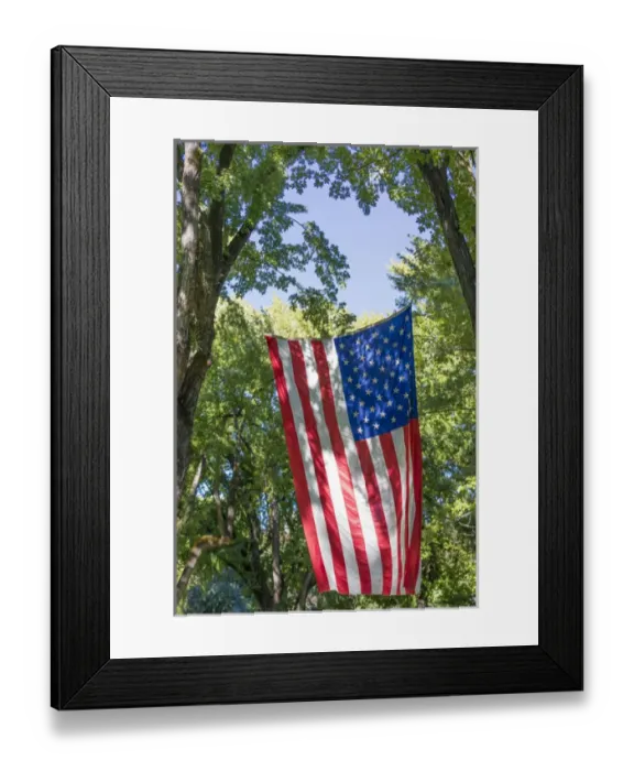 Framed Print : USA, Colorado, Crawford. Flag hanging between two trees