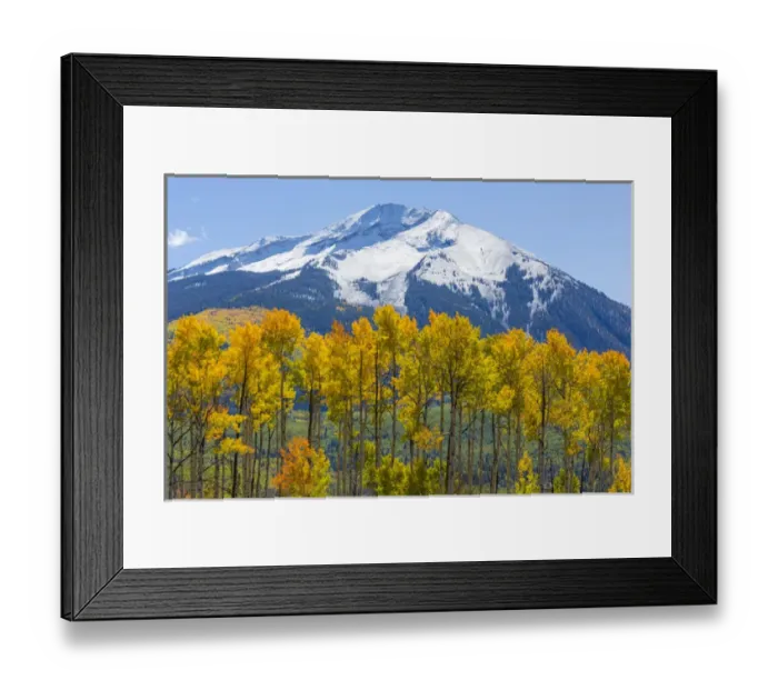 Framed Print : USA, Colorado. Fall aspens and mountain. Credit as: Don Paulson  /  Jaynes Gallery  /  DanitaDelimont