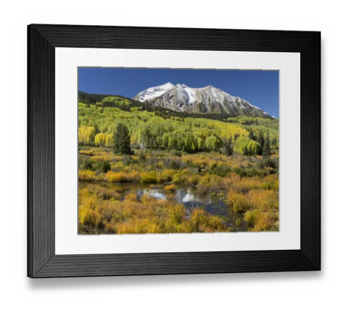 Framed Print : USA, Colorado, East Beckwith Mountain. Composite of mountain and forest. Credit as