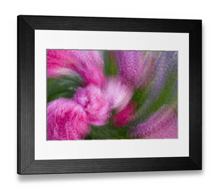 Framed Print : USA, Colorado, Crested Butte. Peonie flower montage