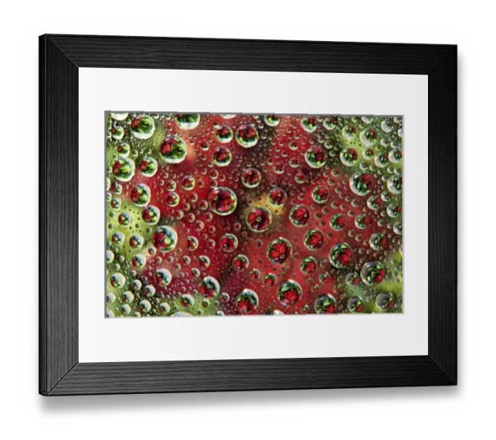 Framed Print : USA, Colorado, Lafayette. Water bubbles on glass table top Framed Print : USA, Colorado, Lafayette. Water bubbles on glass table top