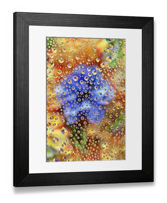 Framed Print : USA, Colorado, Lafayette. Water bubbles on glass table top Framed Print : USA, Colorado, Lafayette. Water bubbles on glass table top