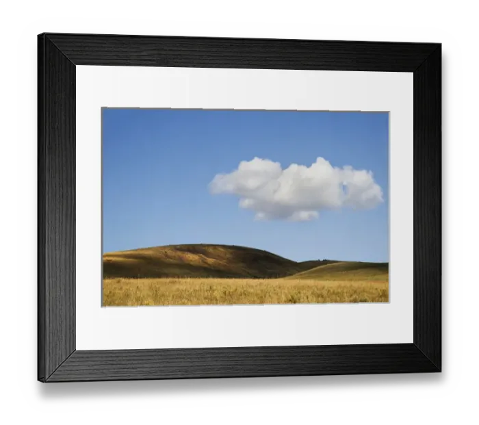 Framed Print : USA, Colorado, San Juan Mountains. Landscape of Wilson Mesa