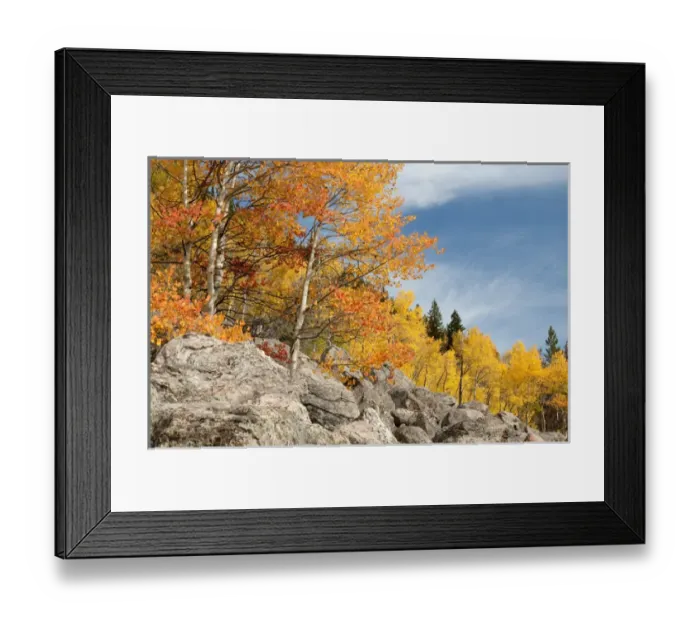 Framed Print : USA, Colorado, Rocky Mountain National Park