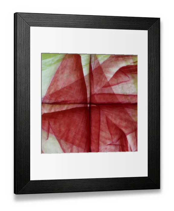 Framed Print : USA, Colorado, Lafayette. Amaryllis montage