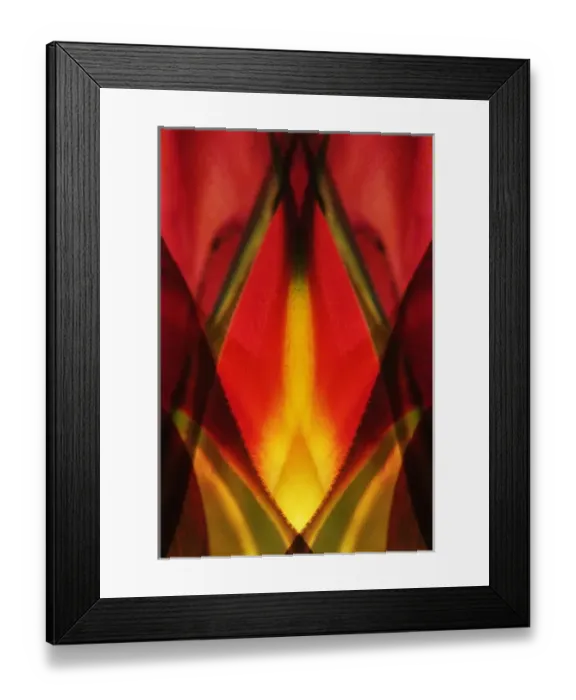 Framed Print : USA, Colorado, Lafayette. Heliconia plant montage Framed Print : USA, Colorado, Lafayette. Heliconia plant montage