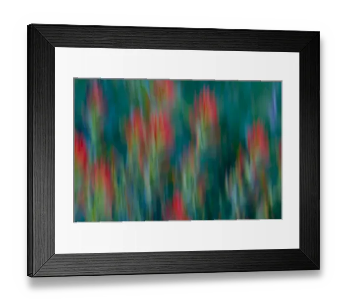 Framed Print : USA, Colorado, Crested Butte. Flower abstract Framed Print : USA, Colorado, Crested Butte. Flower abstract