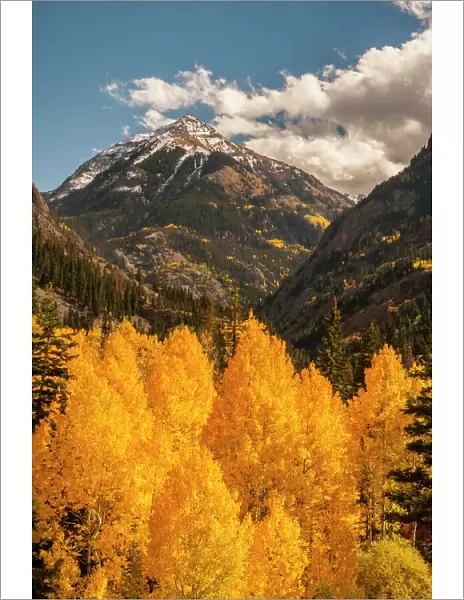 USA, Colorado. Autumn landscape in San Juan Mountains