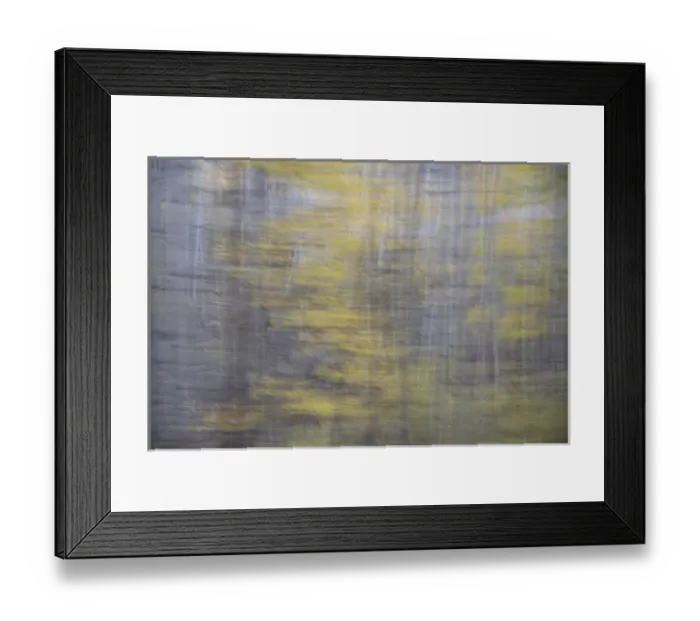 Framed Print : USA, Colorado, Gunnison National Forest. Impressionistic abstract of aspens. Credit as Framed Print : USA, Colorado, Gunnison National Forest. Impressionistic abstract of aspens. Credit as