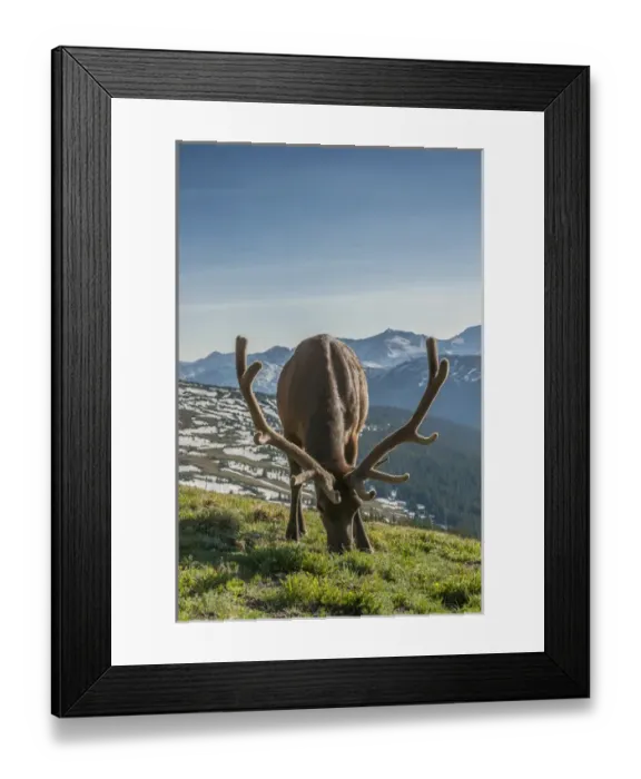 Framed Print : USA, Colorado, Rocky Mountain National Park Framed Print : USA, Colorado, Rocky Mountain National Park