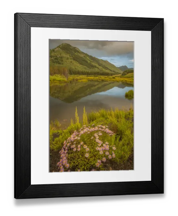 Framed Print : USA, Colorado, Gunnison National Forest. Slate River Valley, asters and pond. Credit as Framed Print : USA, Colorado, Gunnison National Forest. Slate River Valley, asters and pond. Credit as