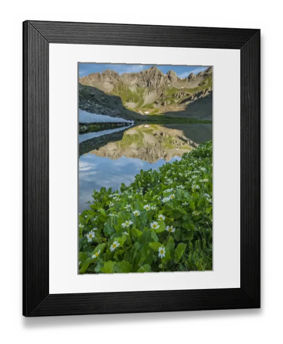 Framed Print : USA, Colorado, San Juan Mountains. Clear Lake reflection and marigolds. Credit as Framed Print : USA, Colorado, San Juan Mountains. Clear Lake reflection and marigolds. Credit as