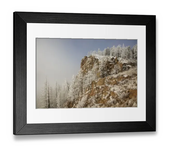 Framed Print : USA, Colorado, Pike National Forest. Hoarfrost coats trees and grass