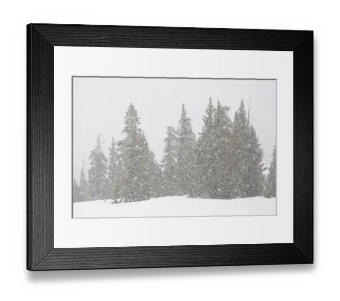 Framed Print : USA, Colorado. Summer snowstorm on Continental Divide Framed Print : USA, Colorado. Summer snowstorm on Continental Divide