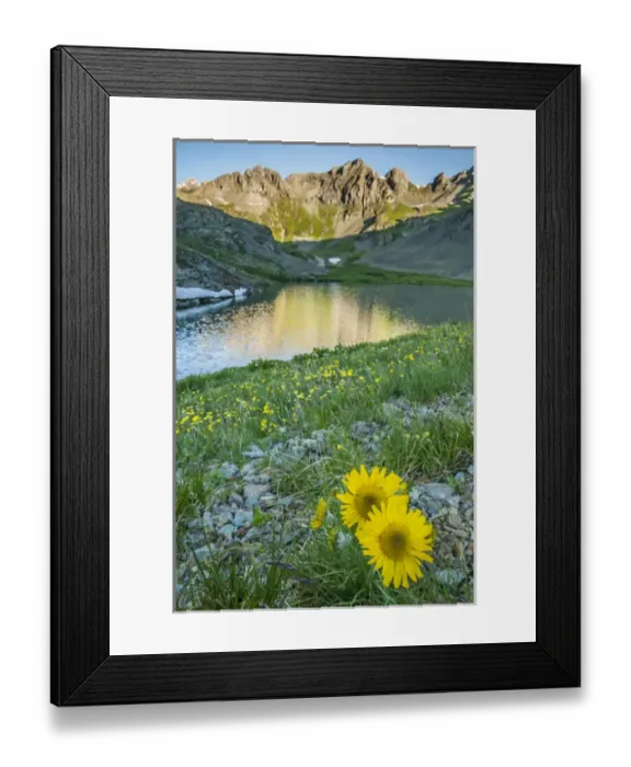 Framed Print : USA, Colorado, San Juan Mountains. Clear Lake and alpine sunflowers Framed Print : USA, Colorado, San Juan Mountains. Clear Lake and alpine sunflowers