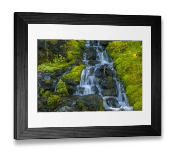 Framed Print : USA, Colorado, San Juan Mountains. Cascade down mossy hillside Framed Print : USA, Colorado, San Juan Mountains. Cascade down mossy hillside