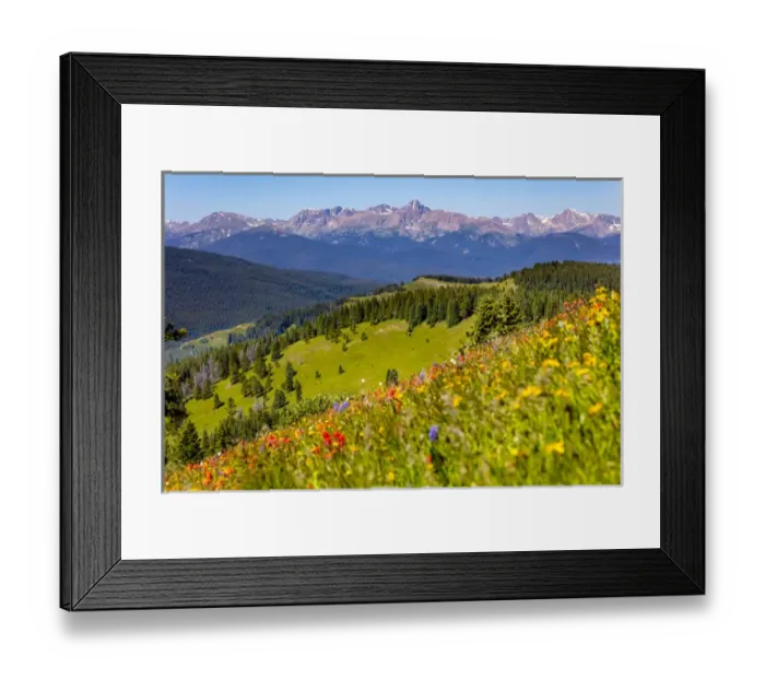 Framed Print : USA, Colorado, Shrine Pass, Vail. Wildflowers on mountain landscape