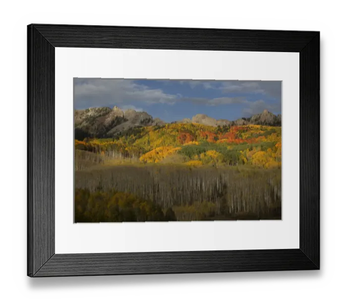 Framed Print : USA, Colorado, Gunnison National Forest. Fall display of aspen trees Framed Print : USA, Colorado, Gunnison National Forest. Fall display of aspen trees