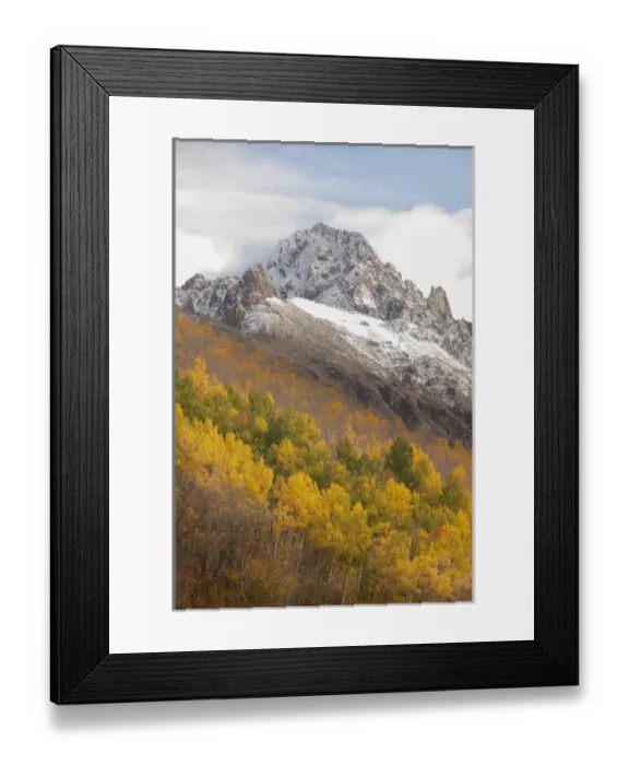 Framed Print : USA, Colorado, Uncompahgre National Forest. Mt Sneffels and autumn-colored aspens Framed Print : USA, Colorado, Uncompahgre National Forest. Mt Sneffels and autumn-colored aspens