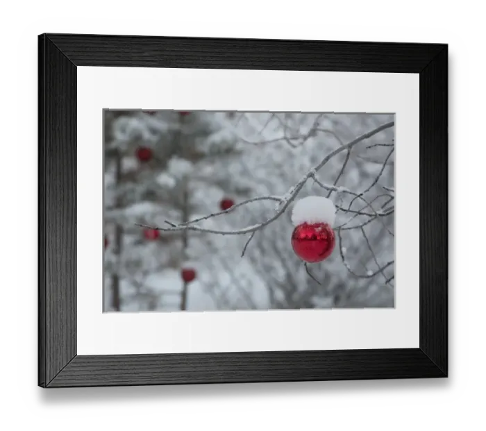 Framed Print : USA, Colorado. Fresh snowfall on trees and Christmas ornaments Framed Print : USA, Colorado. Fresh snowfall on trees and Christmas ornaments