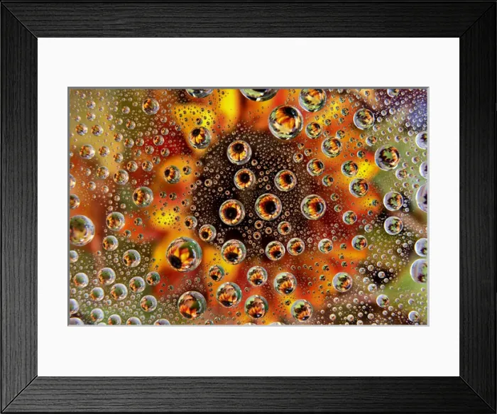 Framed Print : USA, Colorado, Lafayette. Water bubbles on glass table top Framed Print : USA, Colorado, Lafayette. Water bubbles on glass table top