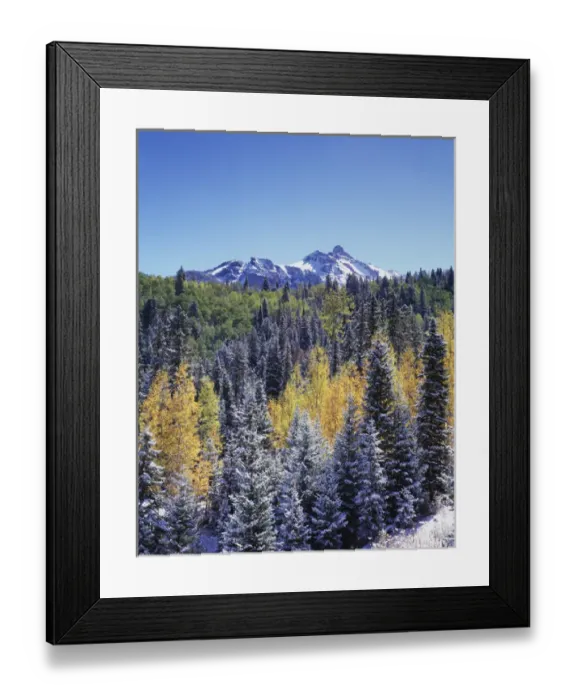 Framed Print : CTF-322. Colorado, San Juan Mountains, First snow and autumn colors of aspen trees 