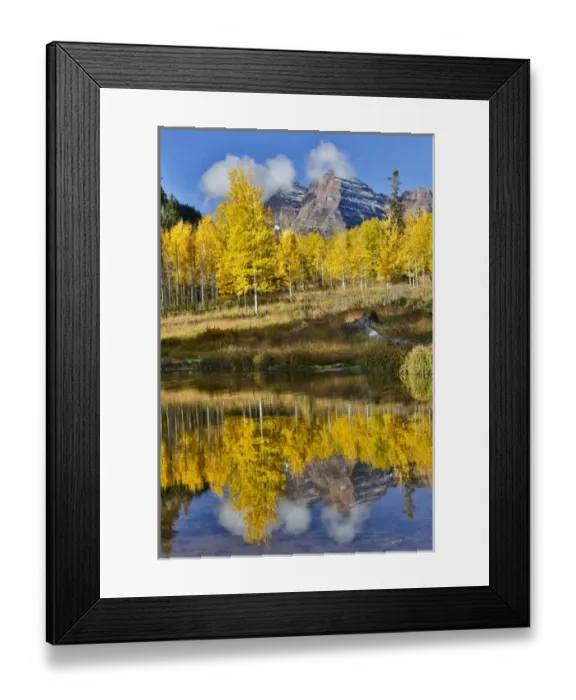 Framed Print : Sunrise Marron Bells autumn colors on aspens with pond reflection