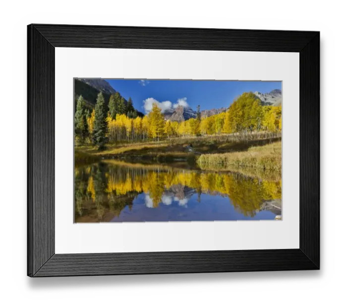 Framed Print : Sunrise Marron Bells autumn colors on aspens with pond reflection Framed Print : Sunrise Marron Bells autumn colors on aspens with pond reflection