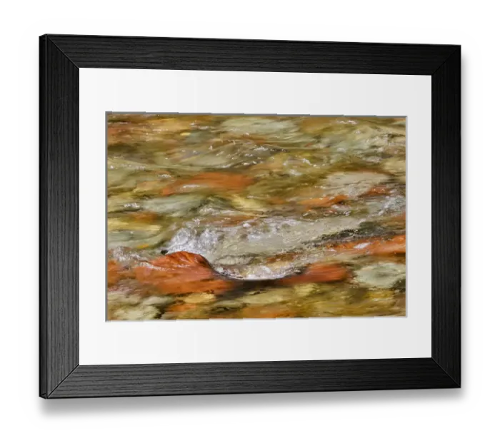 Framed Print : Castle Creek, Aspen township, Colorado with ripples over colorful rocks
