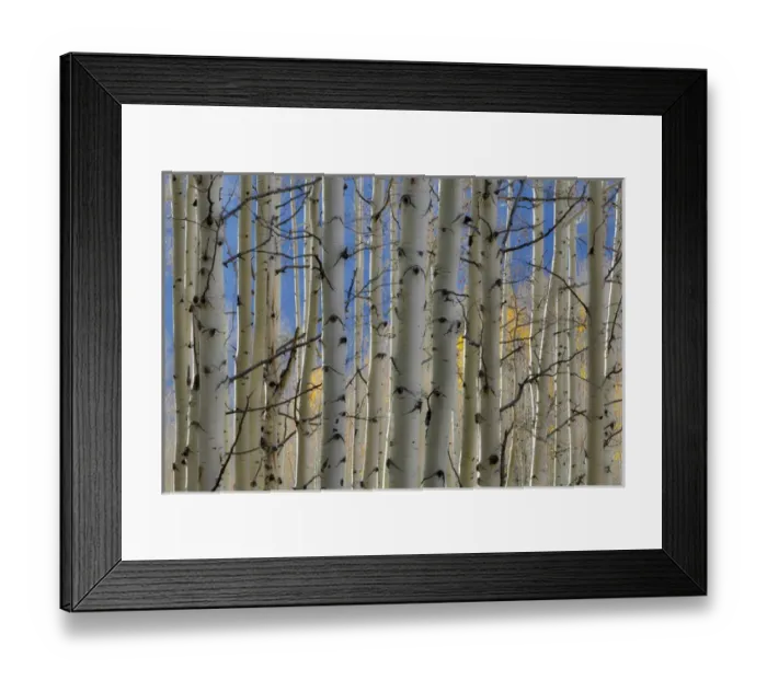Framed Print : Colorado Rocky Mountains near Keebler Pass Autumn Colors on Aspen Groves Framed Print : Colorado Rocky Mountains near Keebler Pass Autumn Colors on Aspen Groves