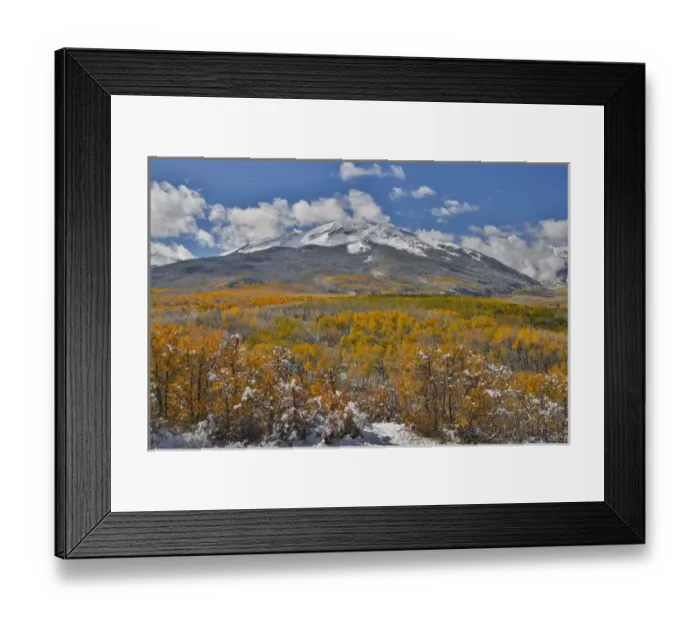 Framed Print : Rocky Mountains Colorado Fall Colors of Aspens and fresh snow Keebler Pass Framed Print : Rocky Mountains Colorado Fall Colors of Aspens and fresh snow Keebler Pass