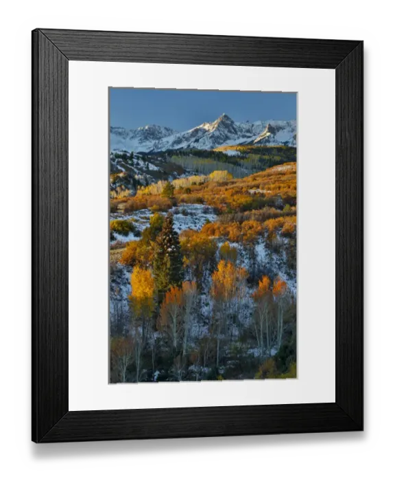 Framed Print : Dallas Mountain and San Juan Mountain Range, Colorado, Autumn colors and aspens glowing