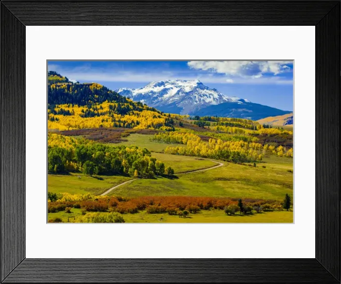 Framed Print : USA, Colorado, fall colors, vista Framed Print : USA, Colorado, fall colors, vista