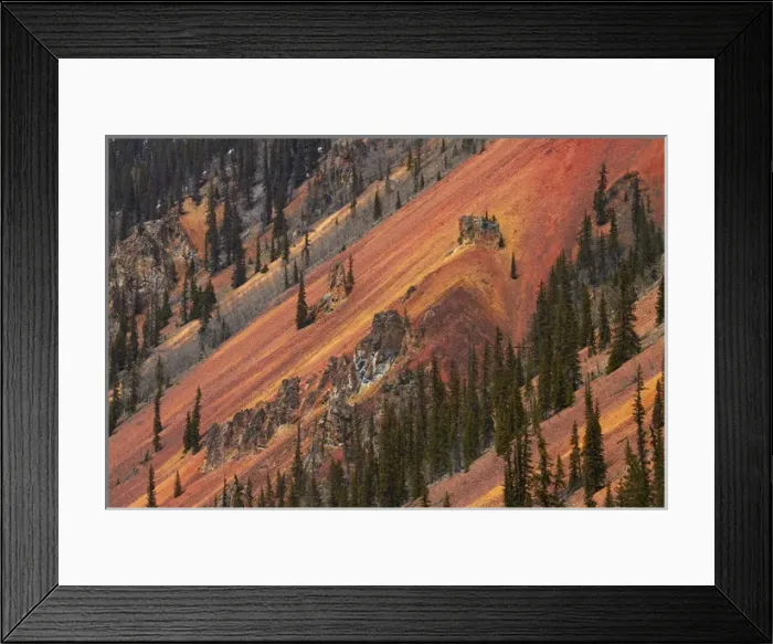 Framed Print : United States, Colorado, San Juan Mountains, trees, and brown, red and yellow iron