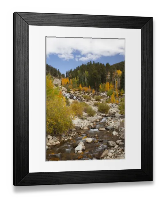 Framed Print : CO, Rocky Mountain National Park, Alluvial Fan area Framed Print : CO, Rocky Mountain National Park, Alluvial Fan area