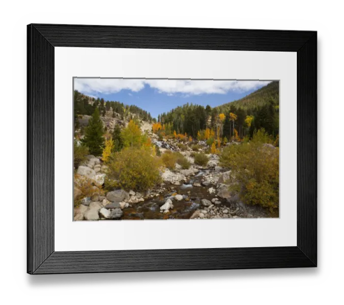 Framed Print : CO, Rocky Mountain National Park, Alluvial Fan area