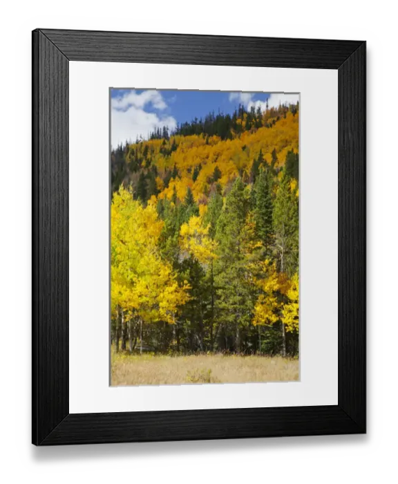 Framed Print : CO, Rocky Mountain National Park, view along highway 34 near Beaver Ponds Framed Print : CO, Rocky Mountain National Park, view along highway 34 near Beaver Ponds