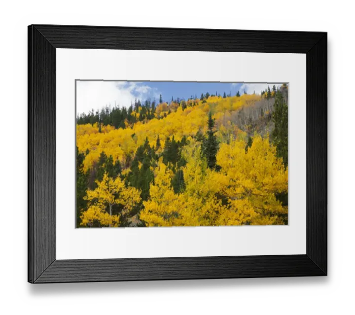 Framed Print : CO, Rocky Mountain National Park, view along highway 34 near Beaver Ponds Framed Print : CO, Rocky Mountain National Park, view along highway 34 near Beaver Ponds
