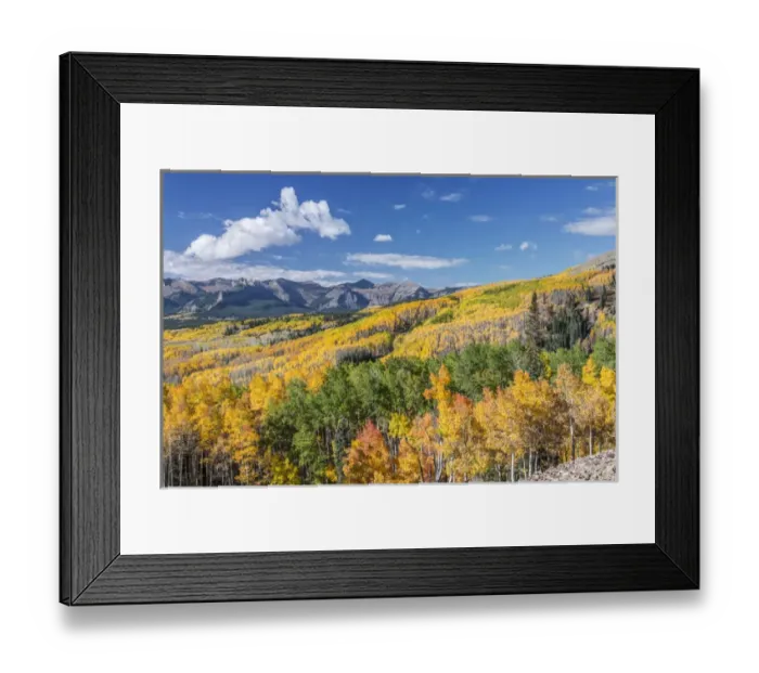 Framed Print : US, CO, Gunnison NF, Rocky Mountain Autumn