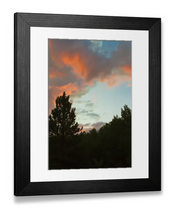 Framed Print : Sunset Colorado mountain pine trees Framed Print : Sunset Colorado mountain pine trees