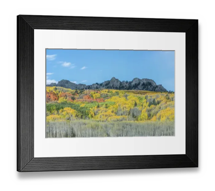 Framed Print : US, CO, Gunnison NF, Autumn Color at Kebler Pass Framed Print : US, CO, Gunnison NF, Autumn Color at Kebler Pass