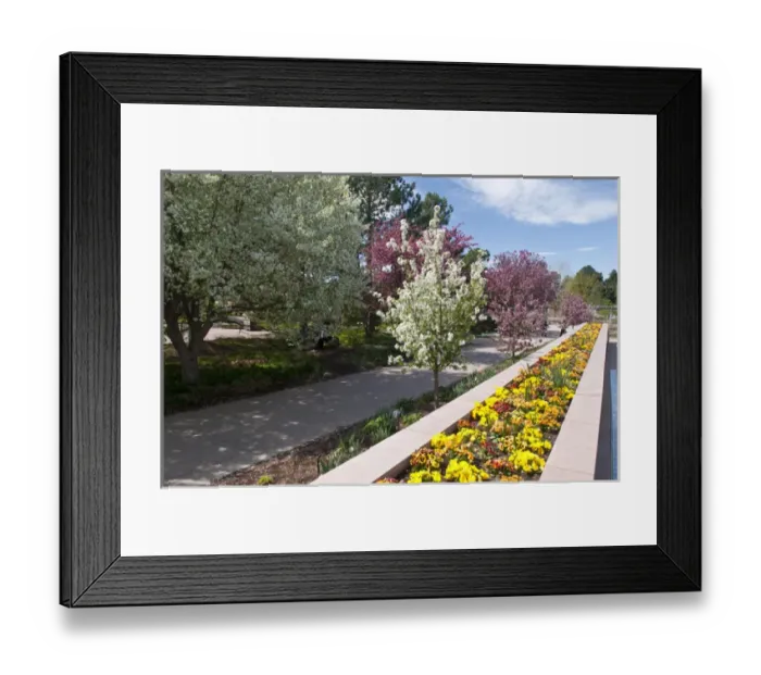 Framed Print : USA, CO, Denver. Denver Botanic Gardens located in central Denver Framed Print : USA, CO, Denver. Denver Botanic Gardens located in central Denver