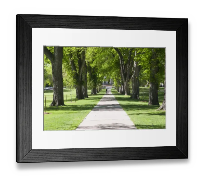 Framed Print : USA, CO, Fort Collins. Students walk in The Oval - a landmark park section in center