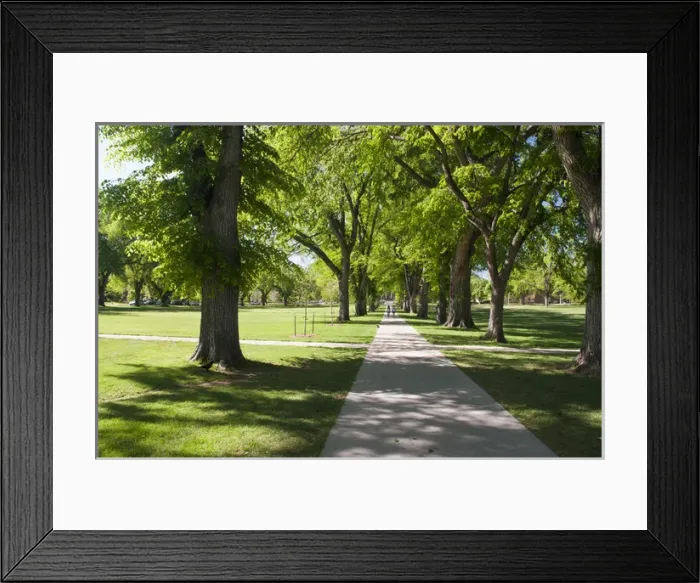 Framed Print : USA, CO, Fort Collins. Students walk in The Oval - a landmark park section in center Framed Print : USA, CO, Fort Collins. Students walk in The Oval - a landmark park section in center