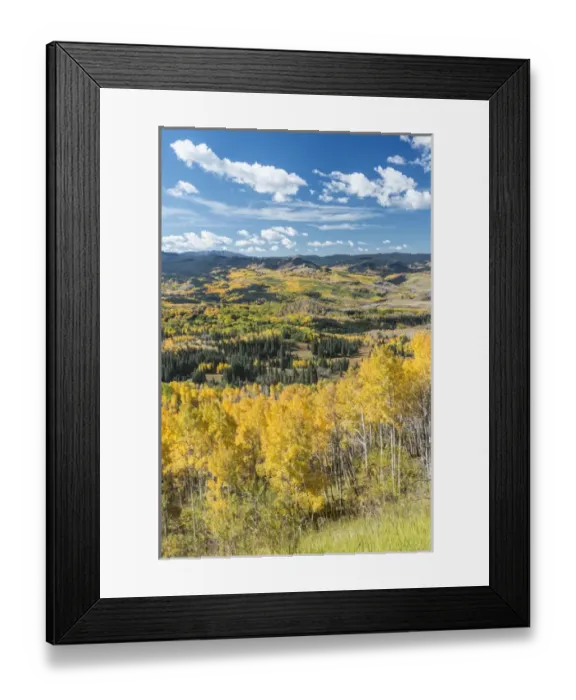 Framed Print : USA, CO, Routt NF, Autuman Color in the Flat Tops Wilderness Framed Print : USA, CO, Routt NF, Autuman Color in the Flat Tops Wilderness