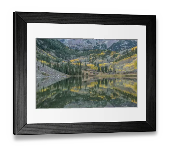 Framed Print : US, CO, White River NF, Autumn Color Reflected in Maroon Lake Framed Print : US, CO, White River NF, Autumn Color Reflected in Maroon Lake